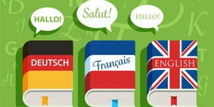 英語、フランス語、フランスという単語が入った本のセット。 英語、フランス語、フランスという単語が入った本のセット。