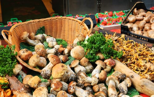 フランス産のキノコがたっぷり入ったかご。 フランス産のキノコがたっぷり入ったかご。