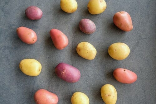 フランスのテーブルに並べられた、さまざまな色のジャガイモのグループ。