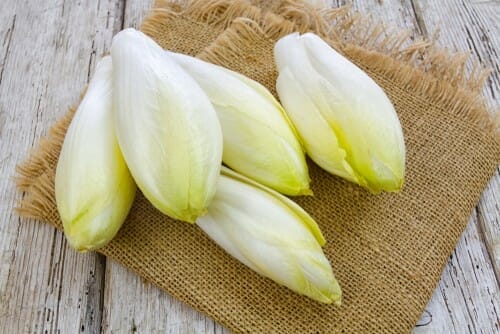 フランスからの黄麻布の袋に 4 つの白いフェンネルの花。 フランスからの黄麻布の袋に 4 つの白いフェンネルの花。