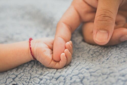 フランスで赤ちゃんの手を握る人の手。 フランスで赤ちゃんの手を握る人の手。