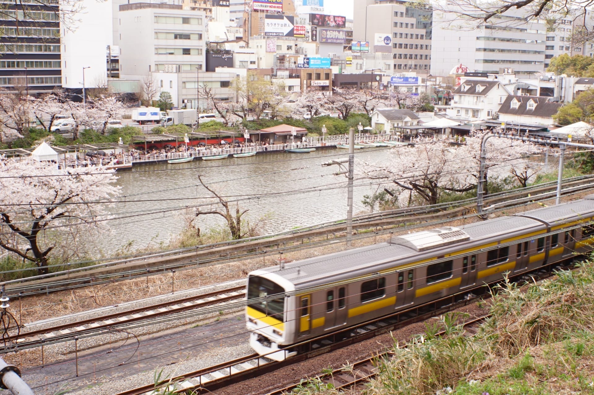 電車は飯田橋近くの都会の建物に囲まれ、桜が満開の川沿いの線路を走ります。そこではフランス語教室マンツーマンが文化的なタペストリーを加えています。.