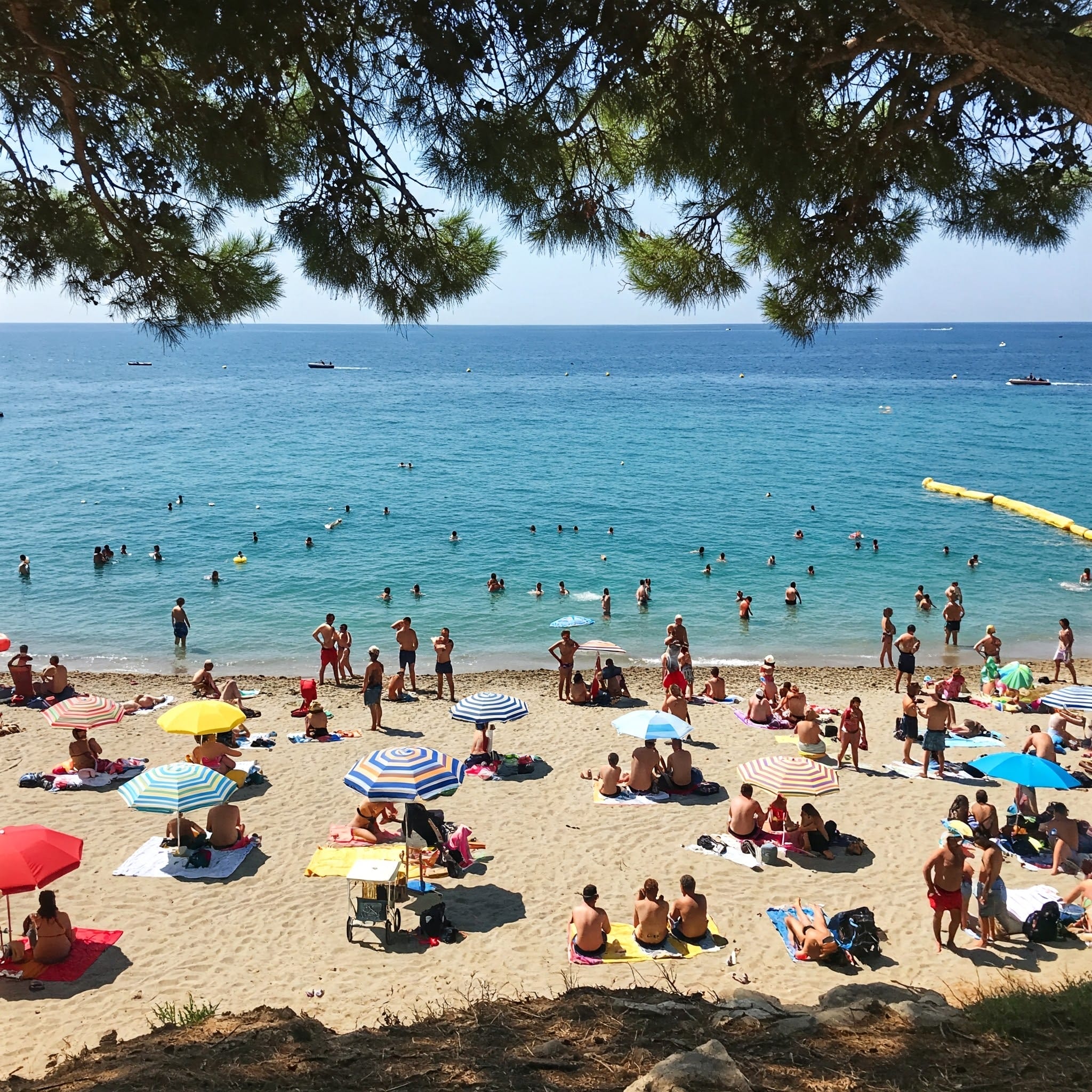砂浜のパラソルの下で日光浴をしたり、青い海で泳いだりする人々の混雑したビーチの風景。画像の上部には木の枝が縁取られています。.